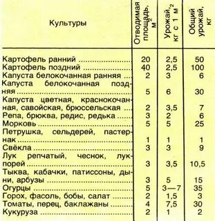 Сколько картофеля в сотке