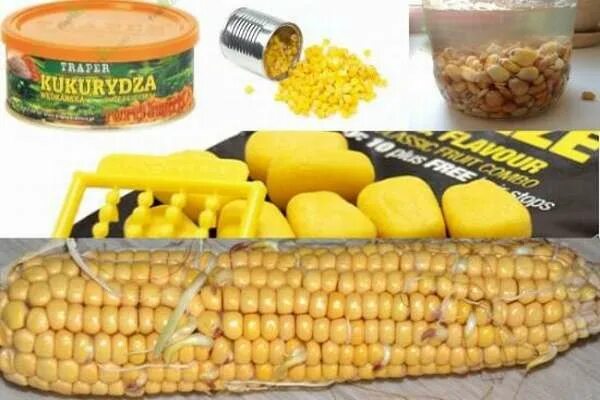 Ловля карпа на кукурузу как правильно. Кукуруза на карпа. насадка кукурузы на крючок. кукуруза для рыбалки. крупная кукуруза для рыбалки.