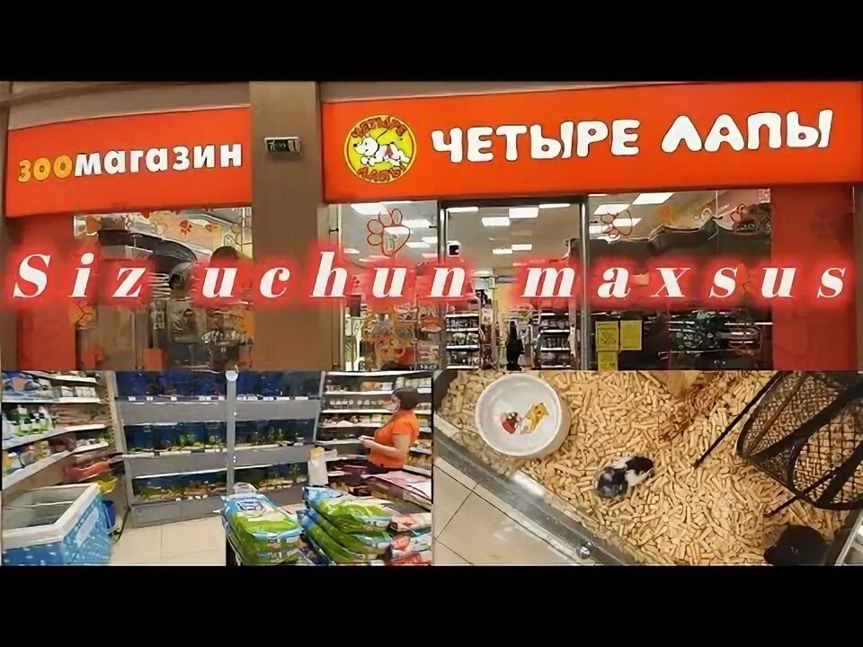 Четыре лапы обзор. Магазин 4 лапы рыбки. Четыре лапы рыбки