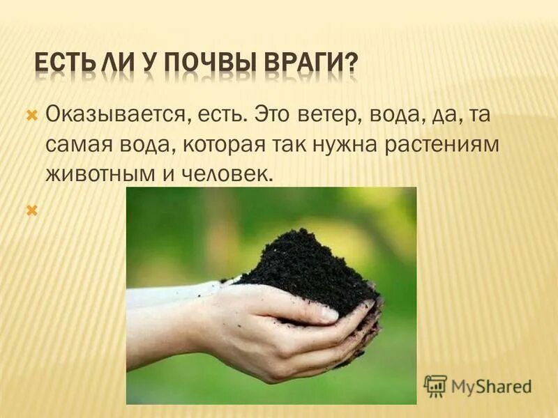 Почему почва живая. Почему почва живая