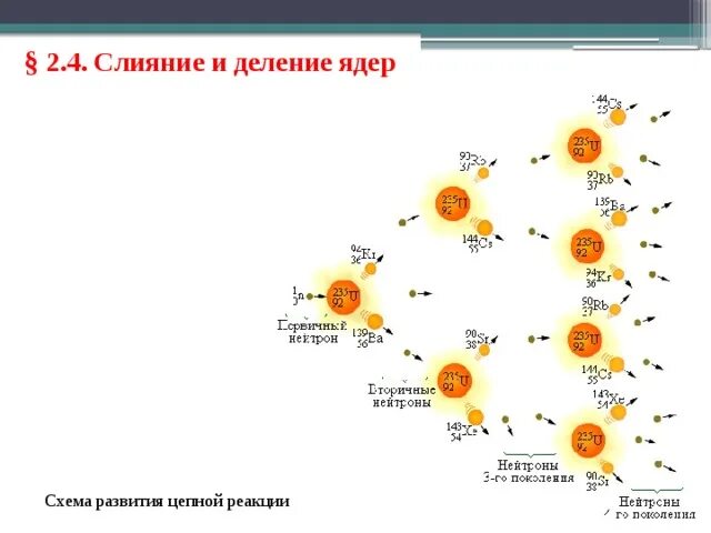 Деление ядер под действием нейтронов. Схема развития цепной ядерной реакции. схема цепной реакции деления. реакция деления нейтрона схема. цепная реакция деления ядер схема.