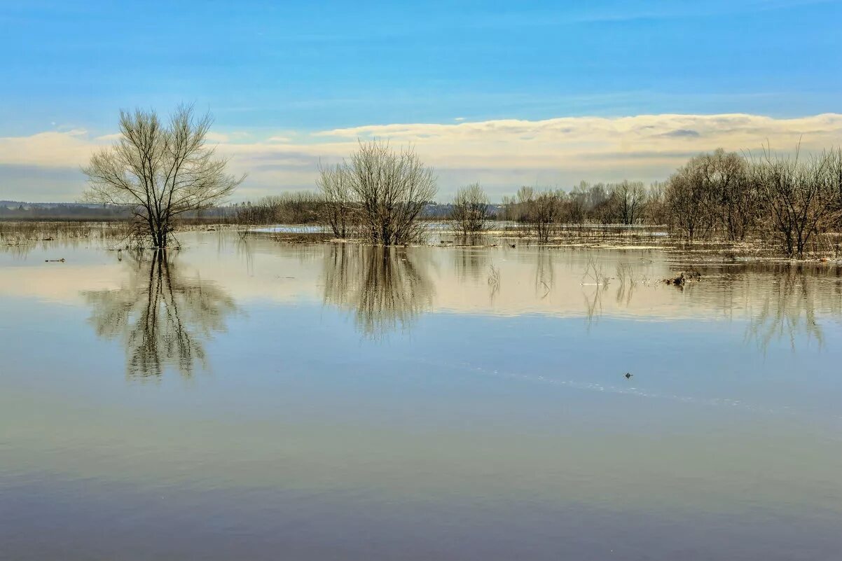 Снилось разлив воды. Половодье. Разлив реки весной.