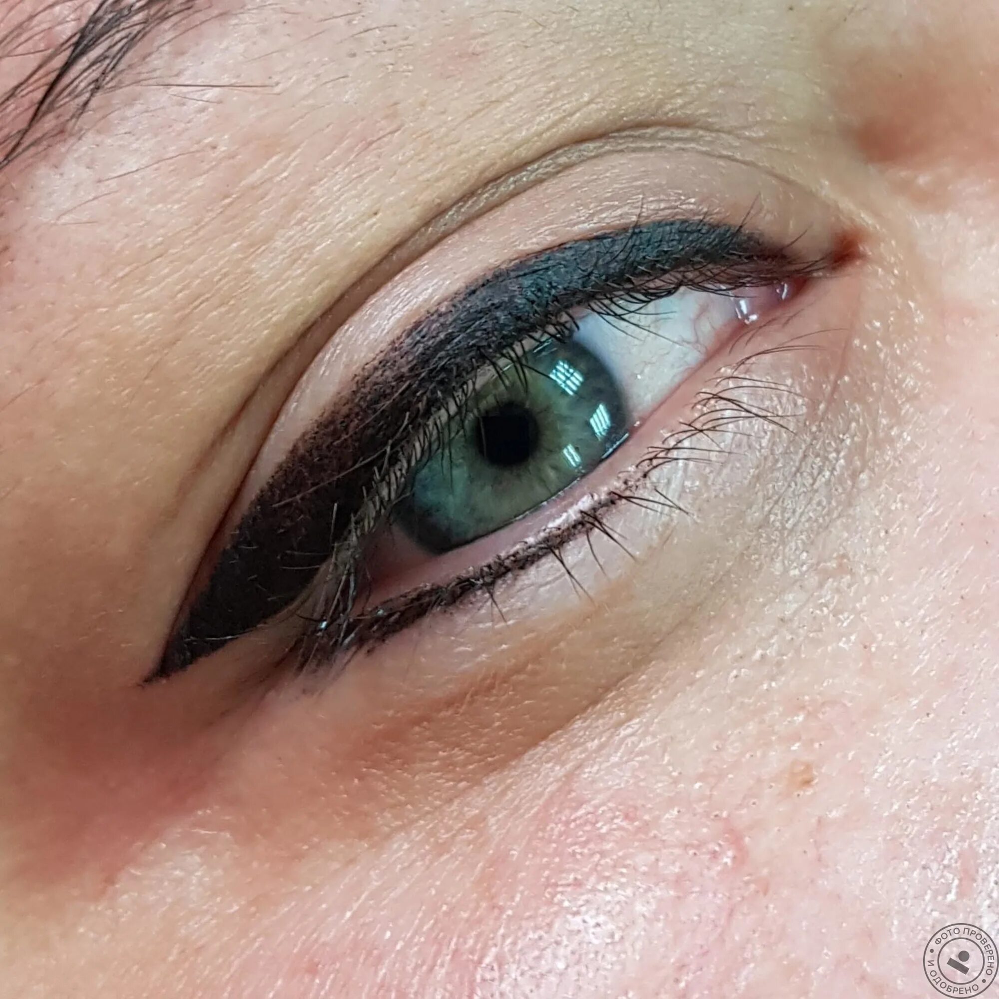 татуаж век межресничка. татуаж межресничка нижнего века. перманент межресничка на нижнее веко. стрелки с растушевкой татуаж нижнее веко. стрелки татуаж межресничка нижнего века.