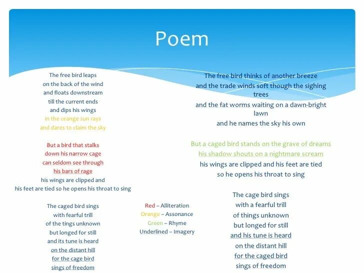 I know the Caged Bird Sings. Poems about Birds. Cage Analysis. I know why the Caged Bird Sings illustrations. Can i know why