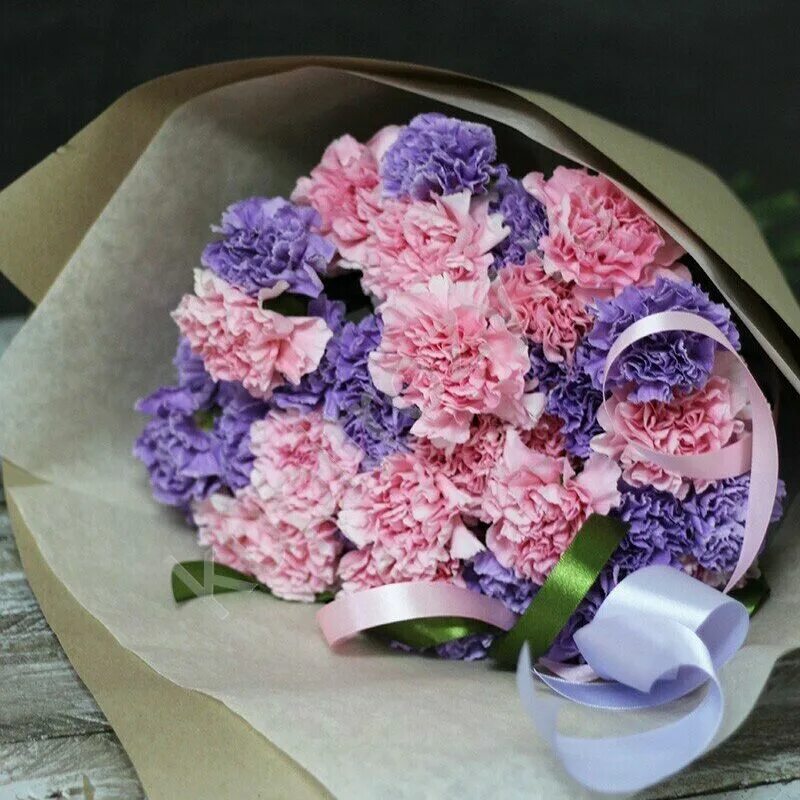 фиалка букет гвоздик. подарили гвоздики на день рождения. гвоздика в подарок. красивый букет гвоздик. гвоздики в подарок.