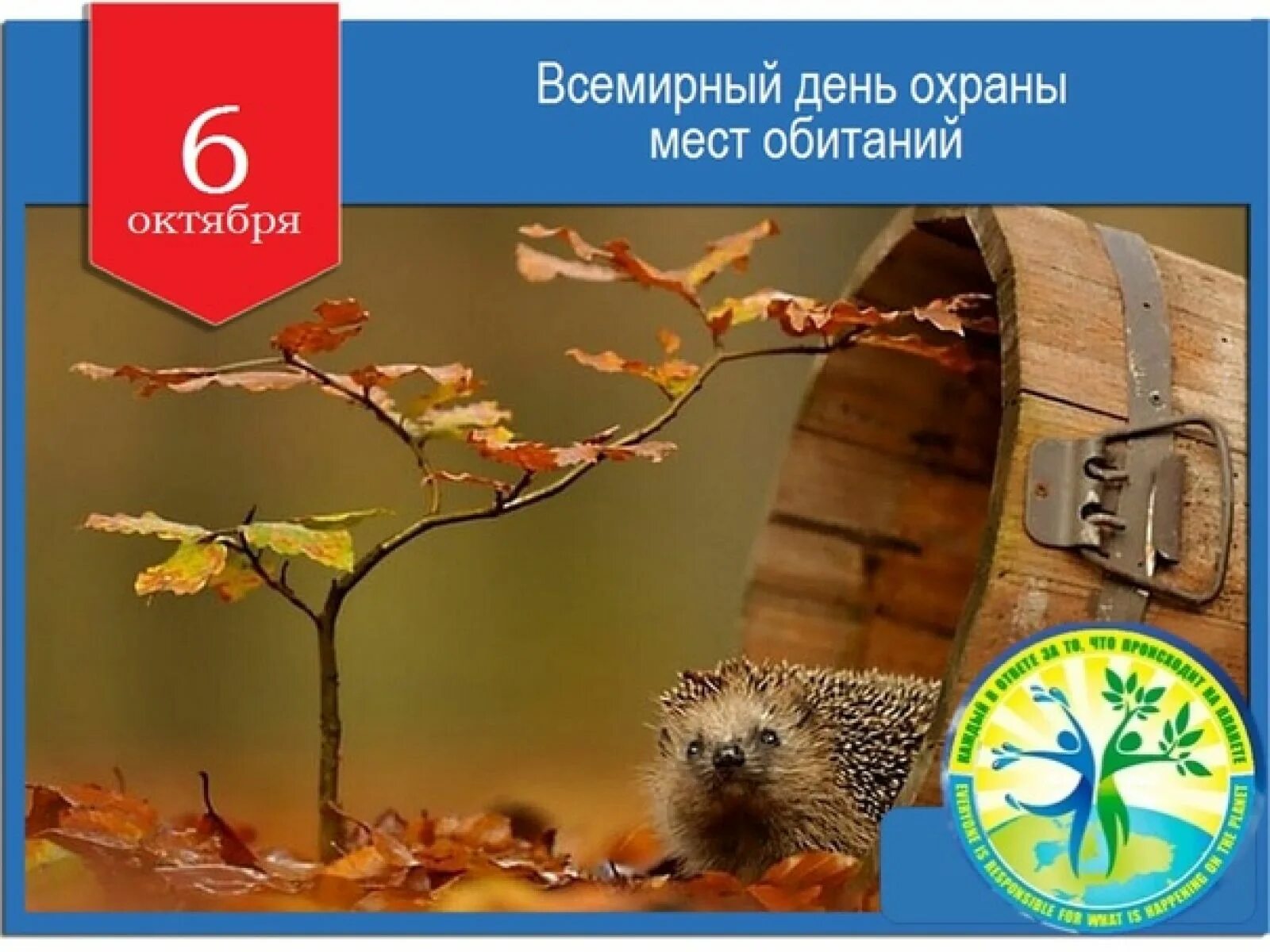Имени 6 октября. 6 Октября Всемирный день охраны мест обитания. День охраны мест обитания 6 октября. День охраны среды обитания. Всемирный день охраны среды обитания.