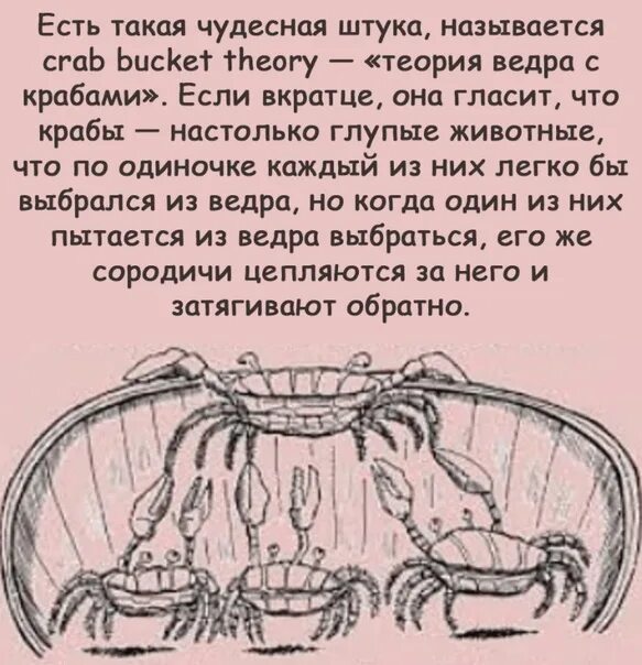 Теория крабов. Теория ведра с крабами. Ведро с крабами психология. Ведро с крабами притча. Принцип ведра с крабами.