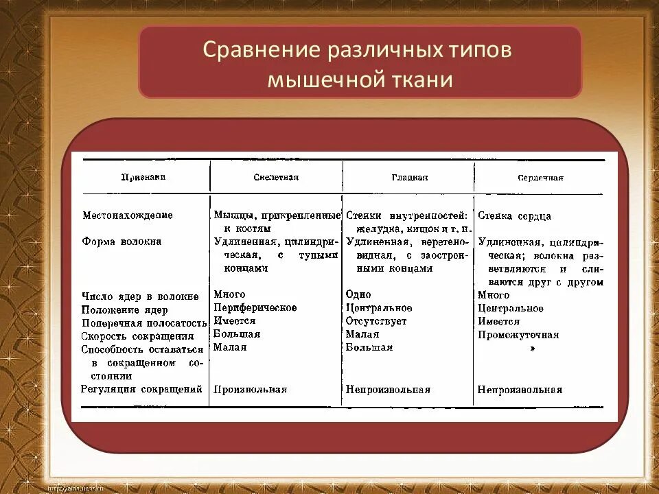 Сравнение с другими видами. Сравнительная таблица мышечной ткани. Сравнение мышечных тканей таблица. Типы мышечной ткани таблица. Характеристика видов мышечной ткани таблица.