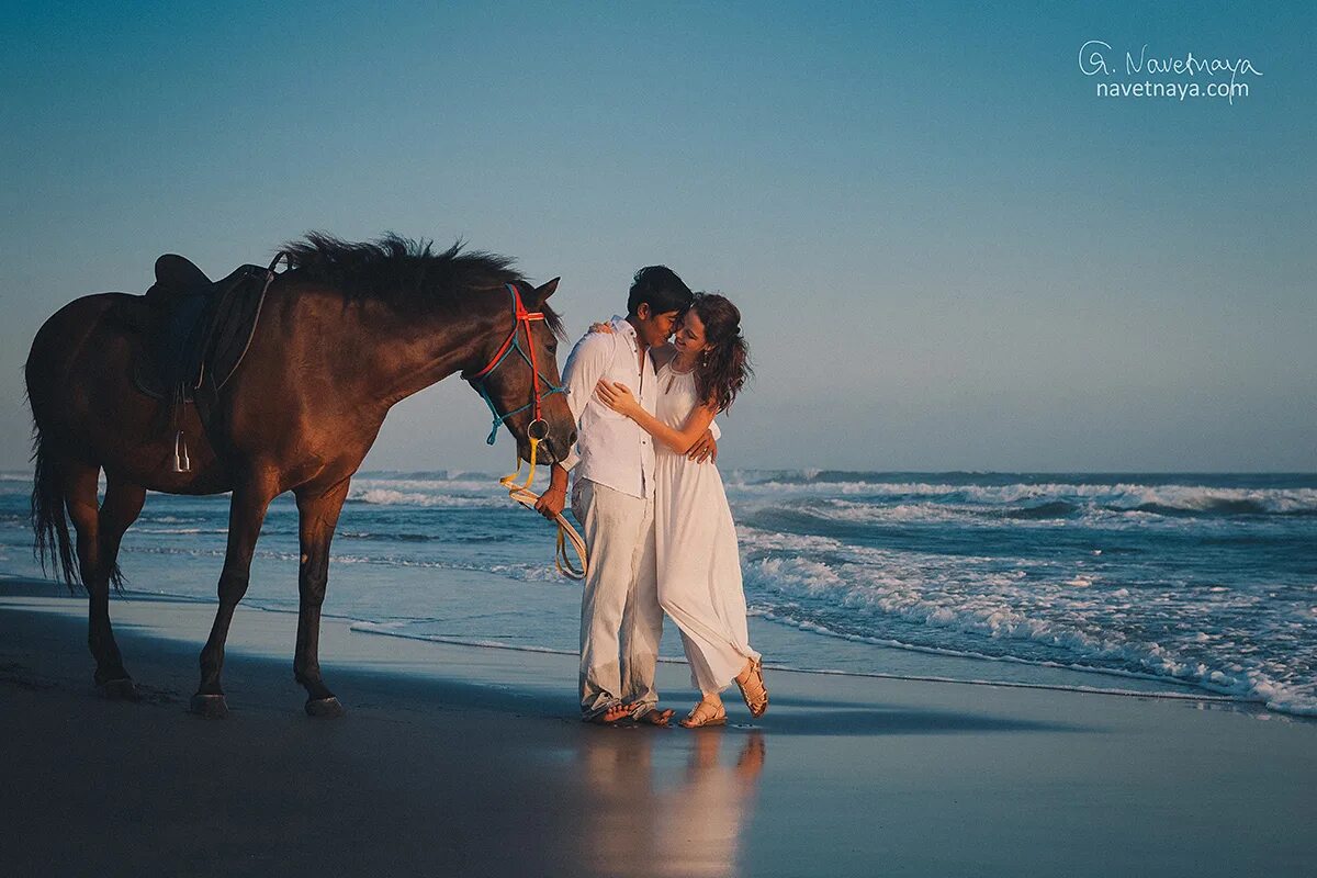 Влюбленные лошади. Фотосессия с лошадью на пляже. Двое на лошади. Лошади и море.