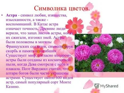 Описания цветочков