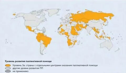 Статистика паллиативной помощи