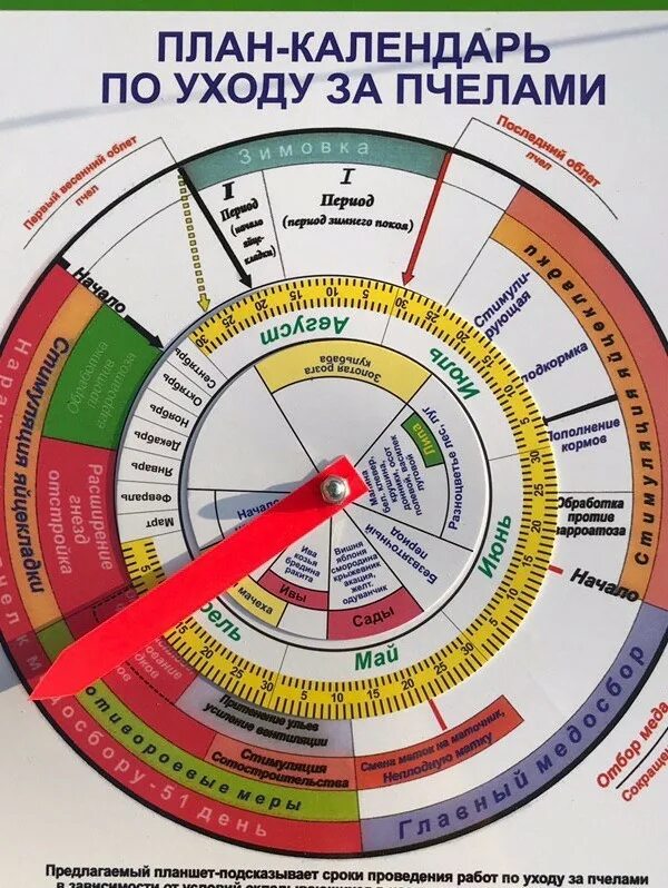 Календарь для пчеловода. Календарь план. Календарный план пчеловодов. План работы пчеловода.