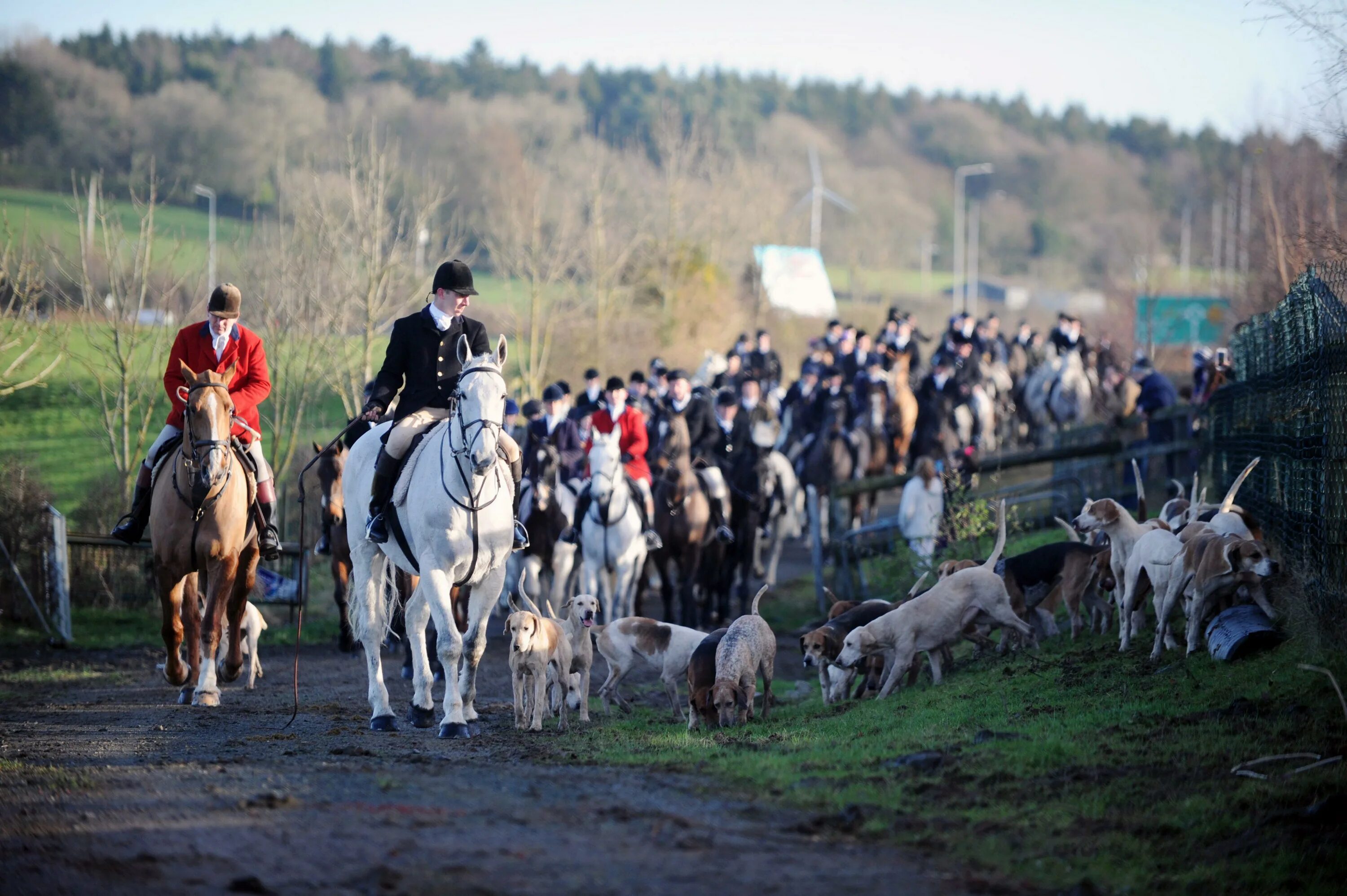 Fox hunt. Boxing Day Fox Hunting. Fox Hunting London.