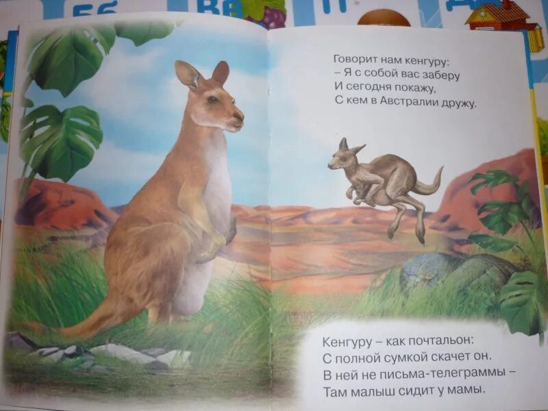 Кенгуру найти слово. Стих про кенгуру. Стих про кенгуру для детей. Кенгуру рассказ для детей. Детские стихи про кенгуру.