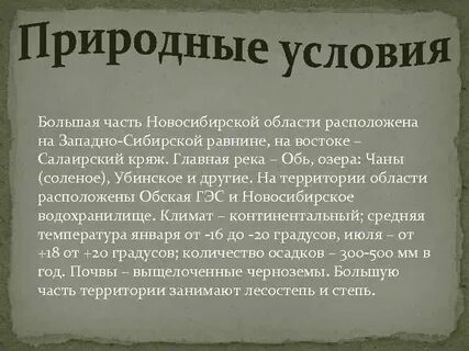 Почва новосибирской
