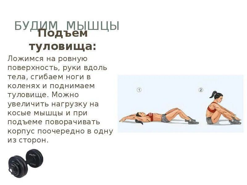 Поднимание ног из положения лежа. Техника выполнения подъема туловища. пресс из положения лежа. поднимание и опускание туловища из положения лежа на спине. подъем туловища из положения лежа.