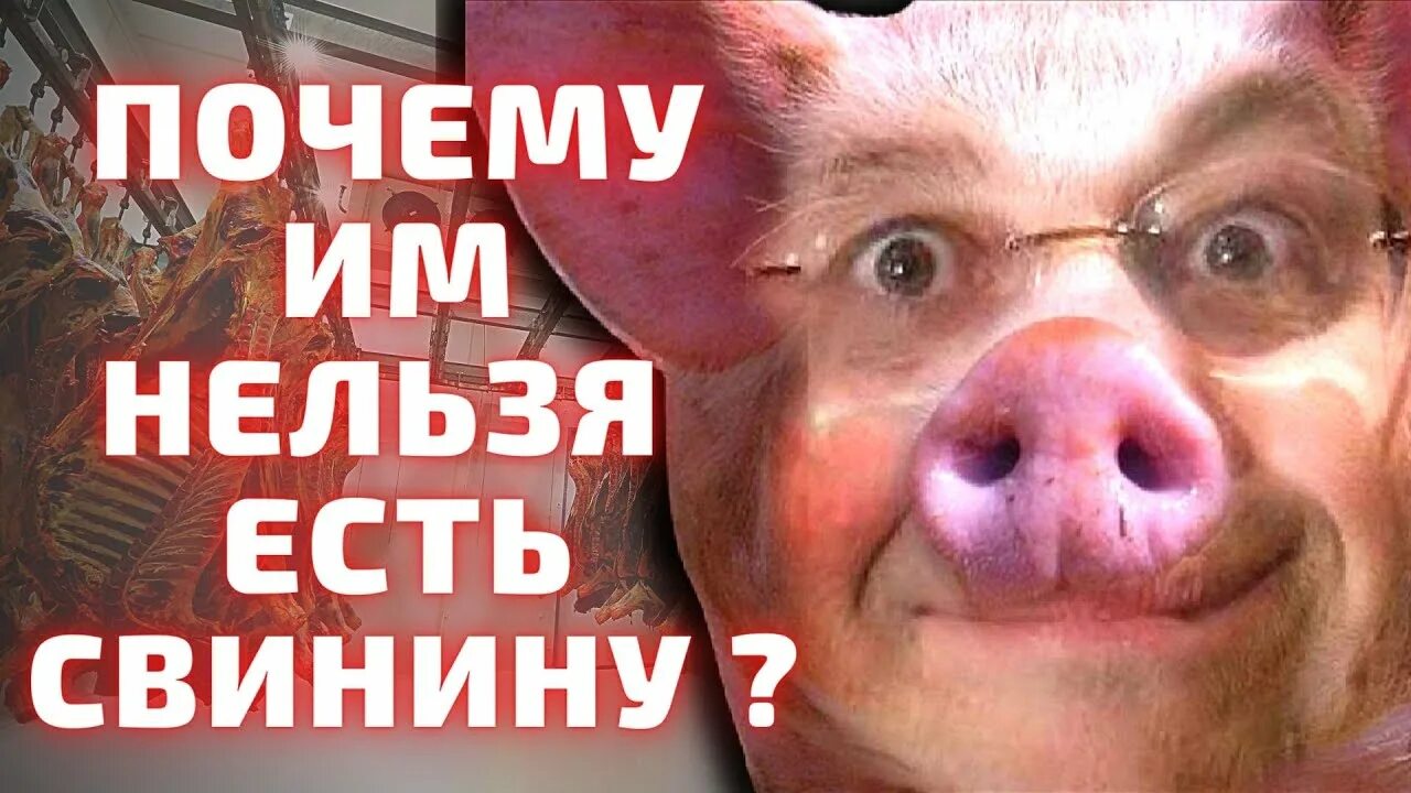 Приму свинину