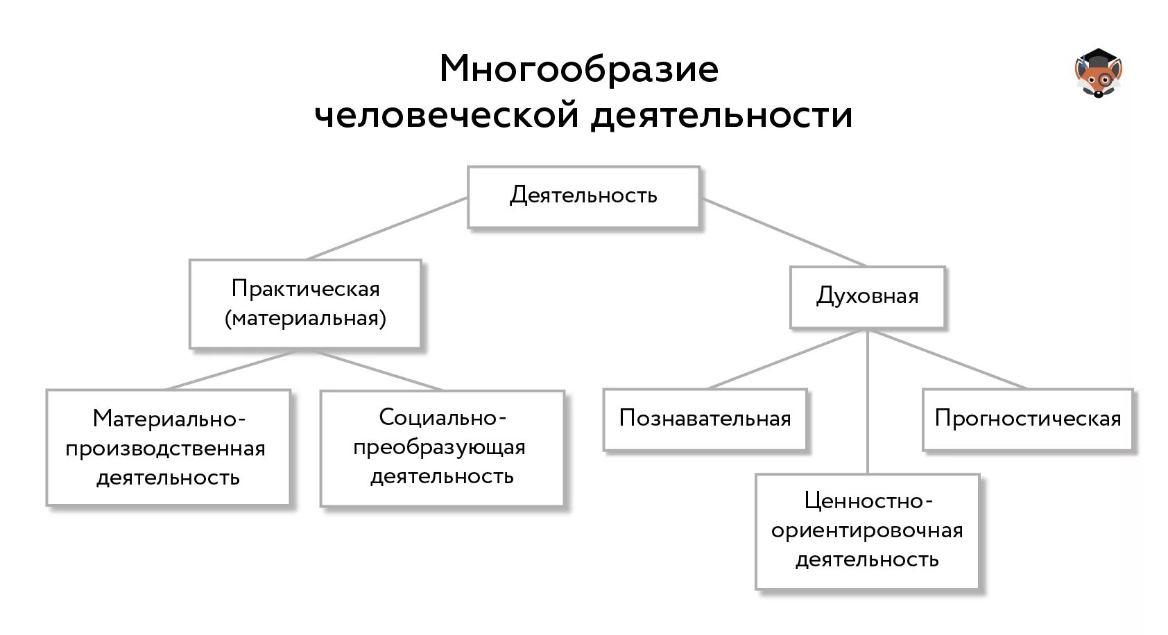 Разнообразие и требований. Многообразие человеческой деятельности. Многообразие видов деятельности. Человеческая деятельность и ее многообразие. Разнообразие деятельности человека это.