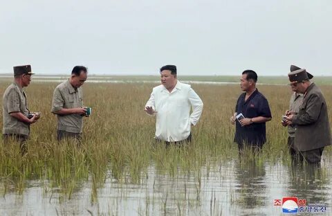 Чиновник кндр