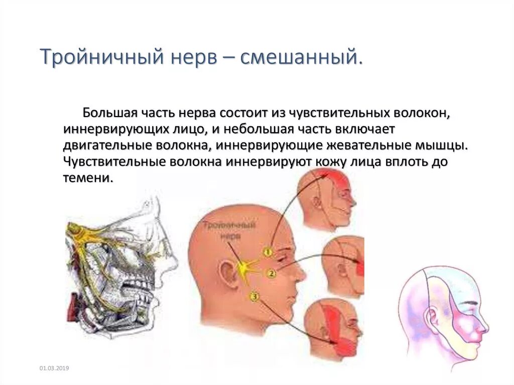 Болезнь тройничного нерва