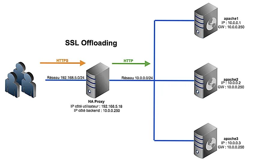Схема протоколов SSL. Отказоустойчивый HAPROXY. SSL сервер. SSL схема работы.