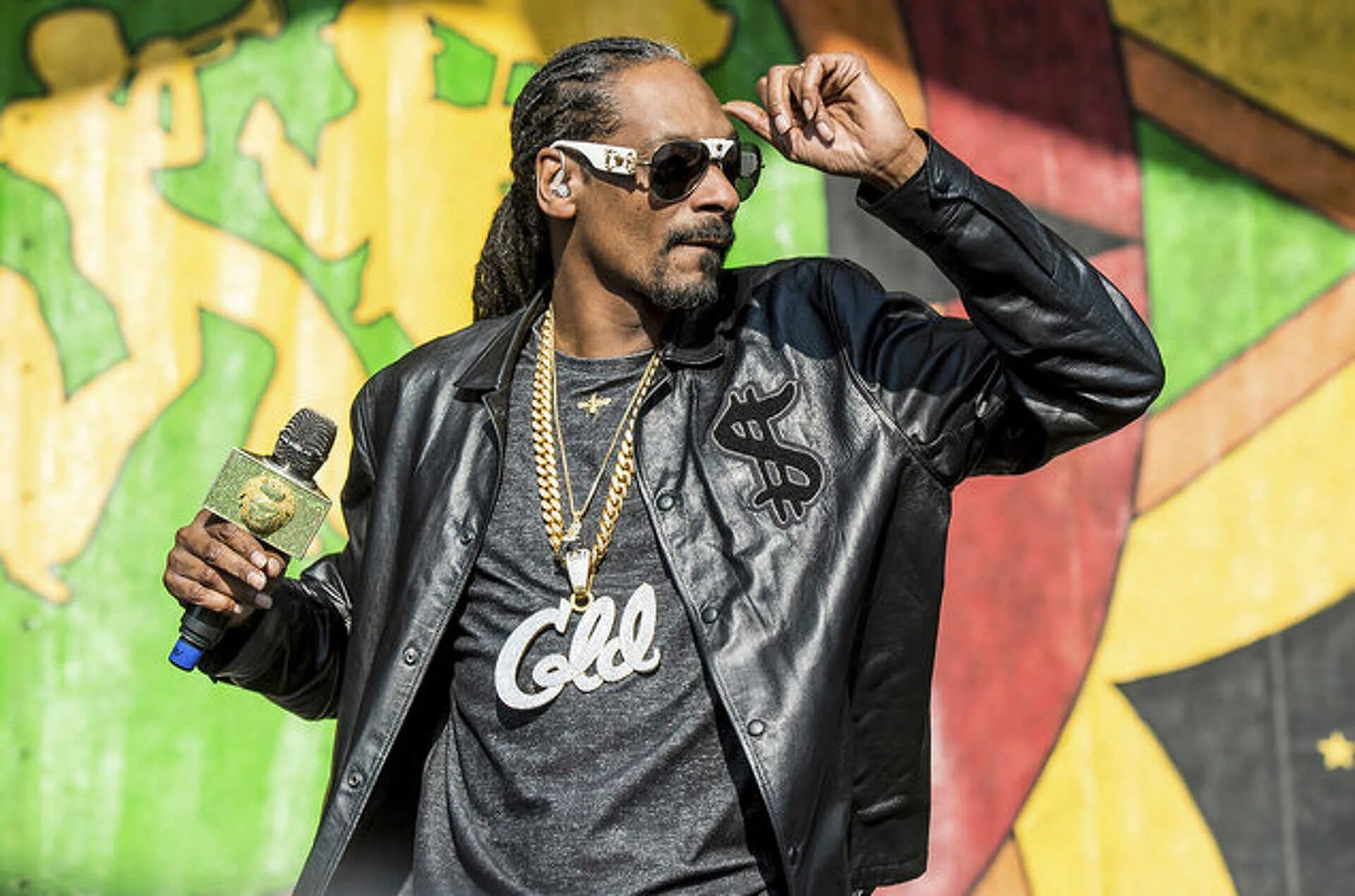 Snoop Dogg. Снуп дог 2022. Американский рэпер снуп дог. Swamp Dog.