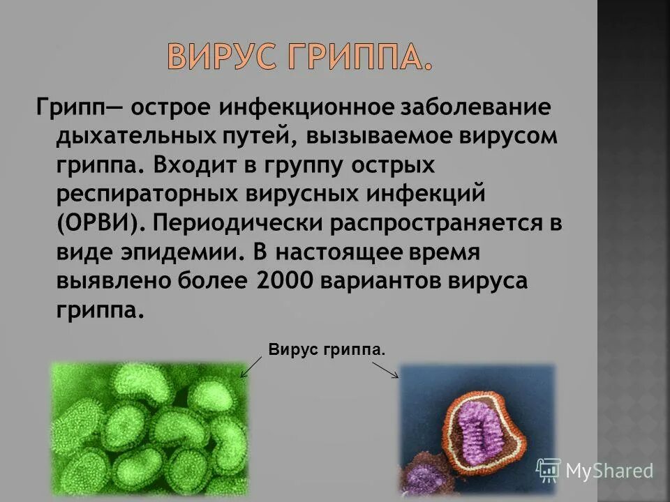 Вирус гриппа. Вирусные заболевания презентация. Сообщение на тему вирусы человека. Разнообразие вирусов. Заболевания вызванные бактериями и вирусами.