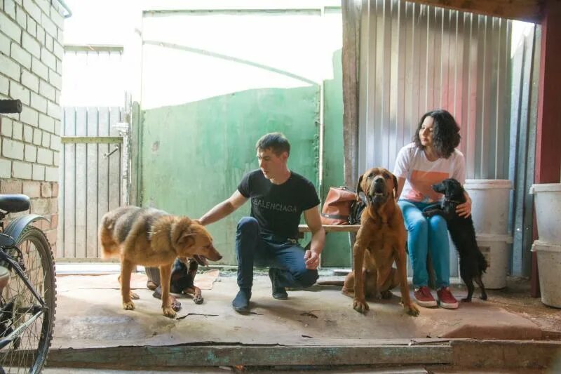 самарский приют для животных