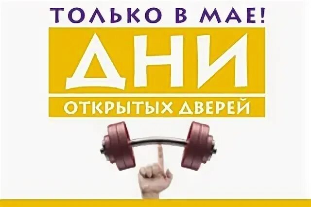 193 новогиреево расписание