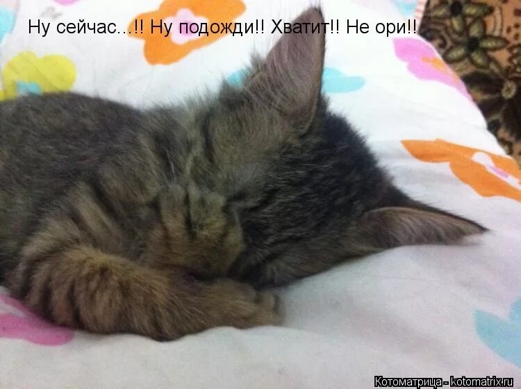 Ну сейчас очень. Мне стыдно. фото мне стыдно. мне не стыдно фото. сейчас подожди.
