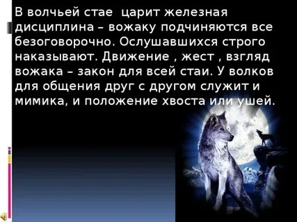Характеристика предложения во главе стаи стоит вожак