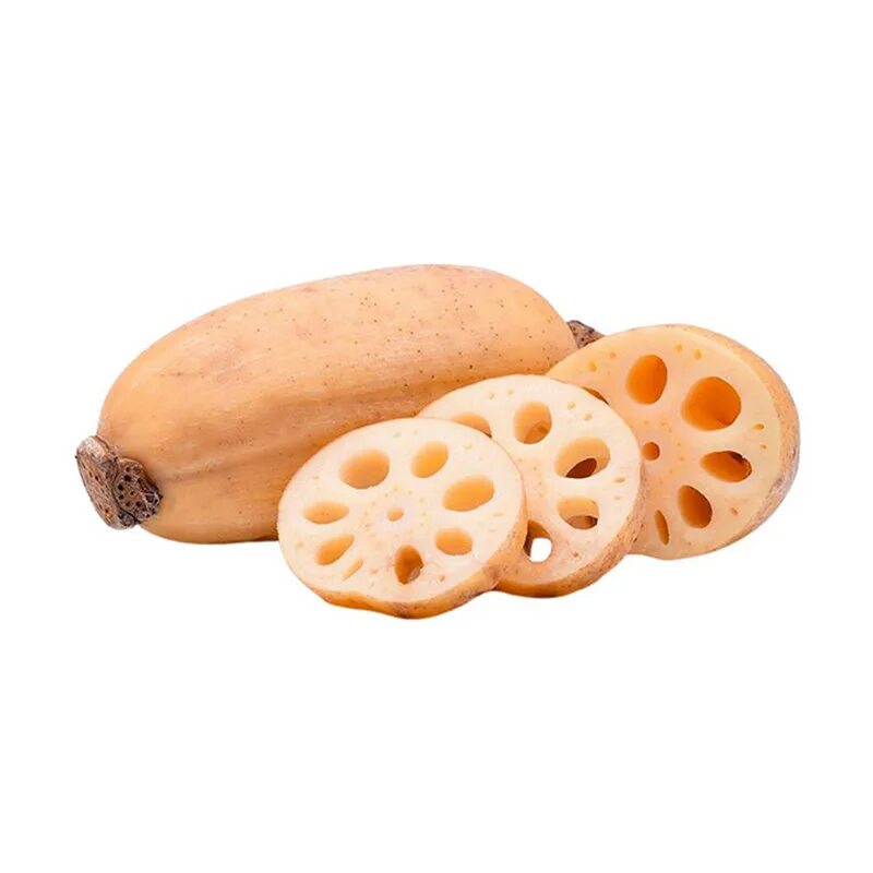 Корень лотоса. Блюда с корнем лотоса. Lotus root. Корень лотоса японский товар.