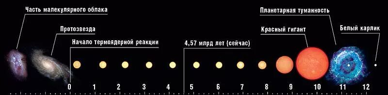 Какой возраст звезд. Жизненный цикл солнца. Жизненный цикл звезды солнца. Жизненный цикл солнца астрономия. Последовательность стадий эволюции звезды типа солнца.