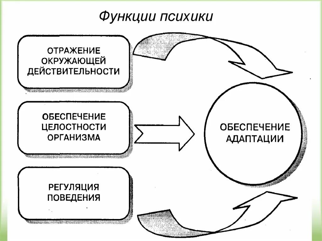 Функция психической организации. Функции психики. Функции психики человека. Предмет и задачи психологии поведения. Основные функции психики.