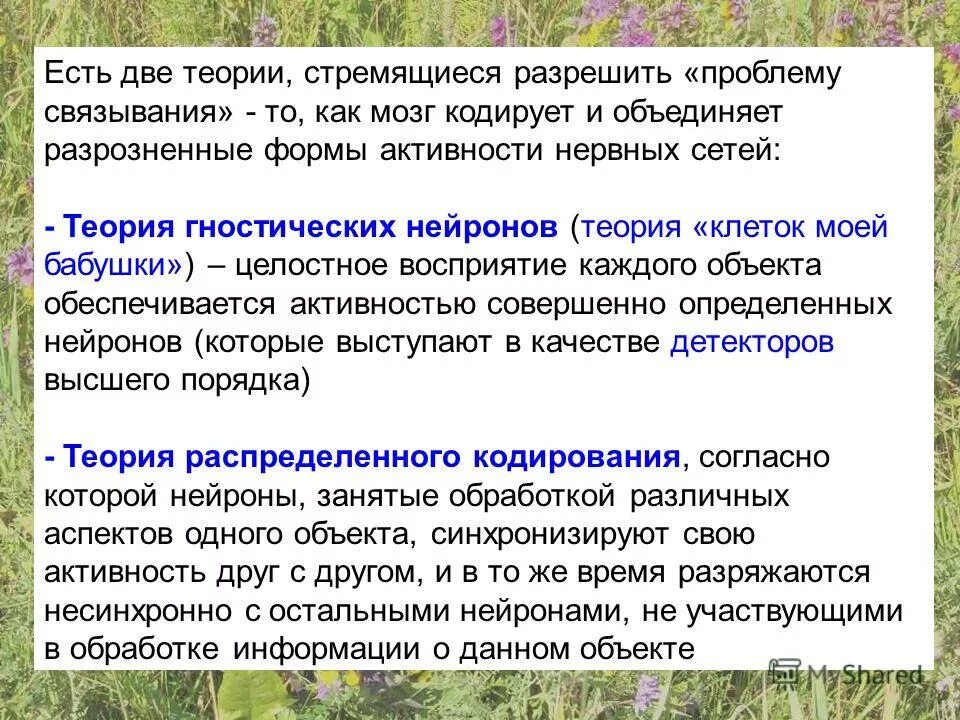 К основным концепциям происхождения жизни на земле является. Кембрийский взрыв презентация. Существует несколько теорий. Теории происхождения жизни. Существует несколько теорий.