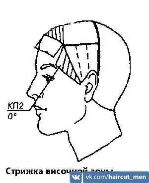 Как стричь полубокс машинкой. Стрижка полубокс схема выполнения. Схема стрижки теменной зоны мужские стрижки. Полубокс стрижка техника стрижки. Полубокс стрижка мужская схема стрижки.