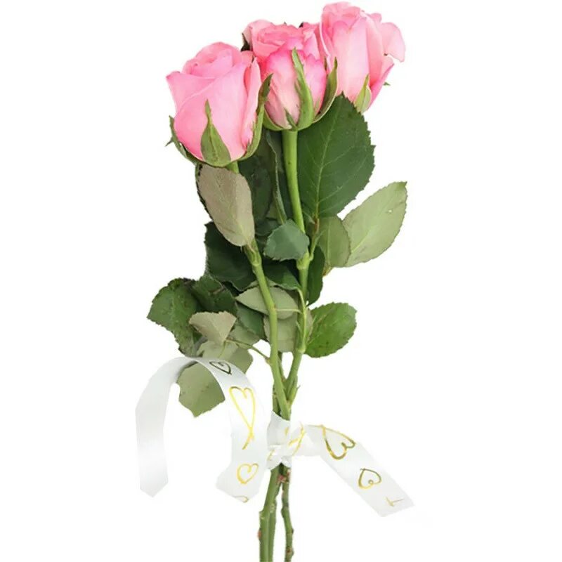 Небольшие букеты из роз. Небольшие букеты. Маленький букет из роз. Букет из 3 роз. Букет из розовых роз небольшой.