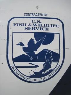 Wildlife services