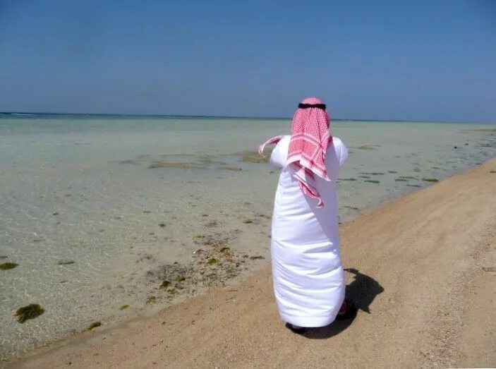 Отдых в саудовской аравии. Саудовская Аравия пляжи. Red Sea Саудовская Аравия. Проект красное море Саудовская Аравия. Красный морях Сауди Аравия.