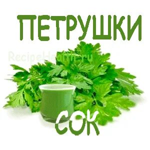 Сок петрушки на зиму