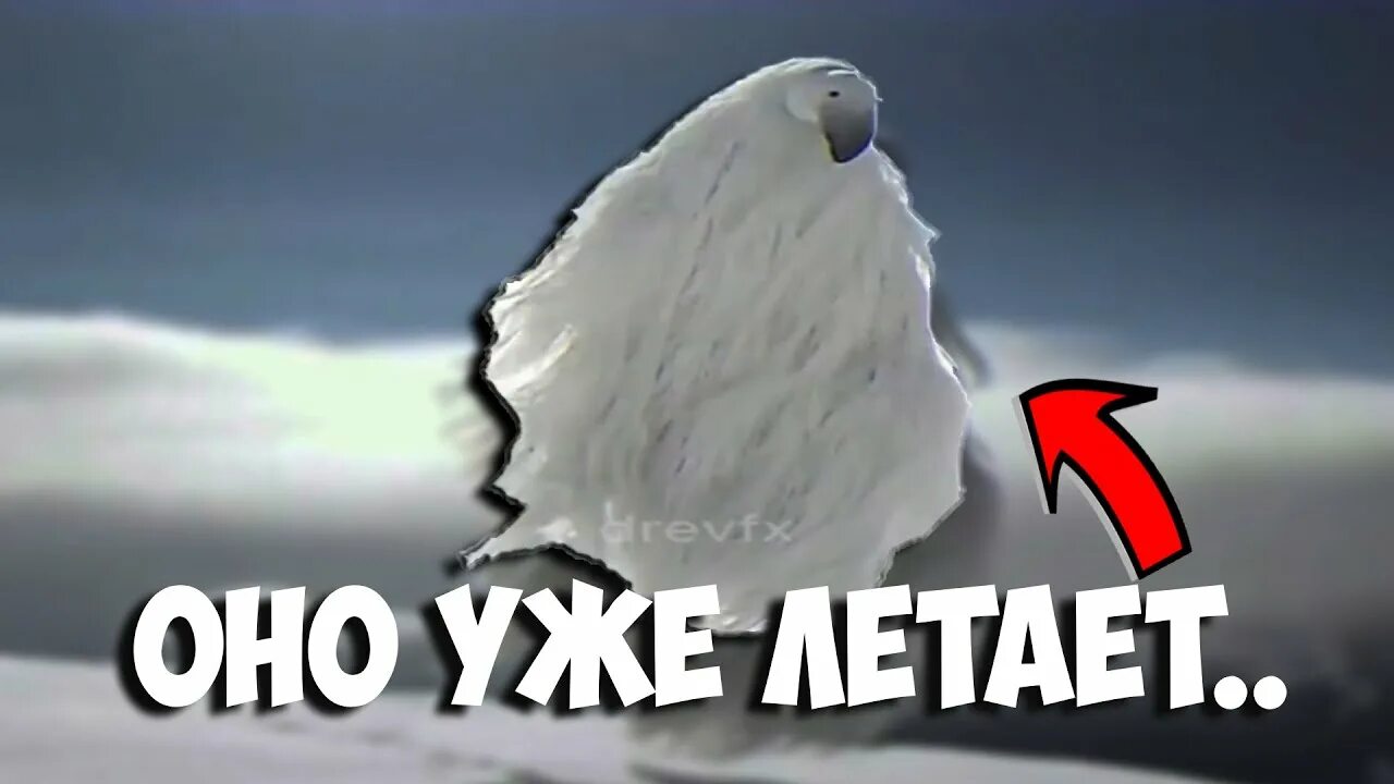 ПТИЦА ИЗ МЕМА 2027 ГОДА НАУЧИЛАСЬ ЛЕТАТЬ // Мем 2027 года теперь летает.. - YouT