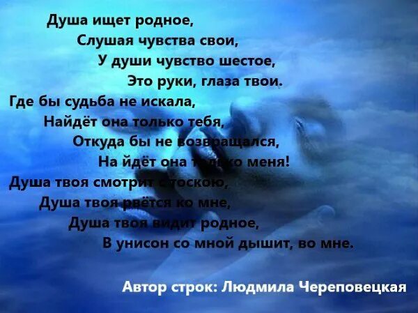 человек с душой ищет душу. афоризмы про душу и тело. афоризмы про родственные души. ищет душу. человек с душой ищет душу без души тело.