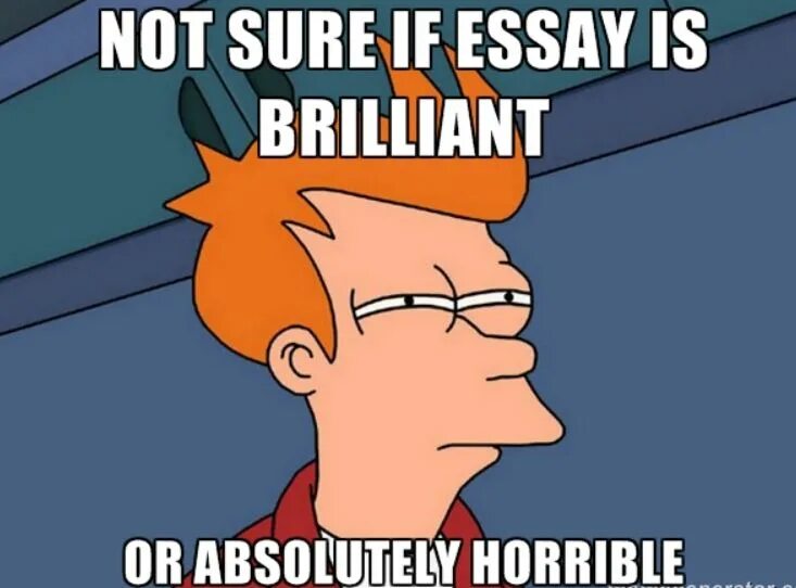 It's horrible картинка. Horrible essay. Meme you write an essay. I have money left