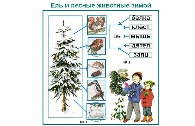 Пример невидимых нитей лесу. Невидимые нити в зимнем лесу. Невидимые нити в лесу ель. Невидимые нити в зимене лесу. Невидимые нити в зимнем лесу схема.