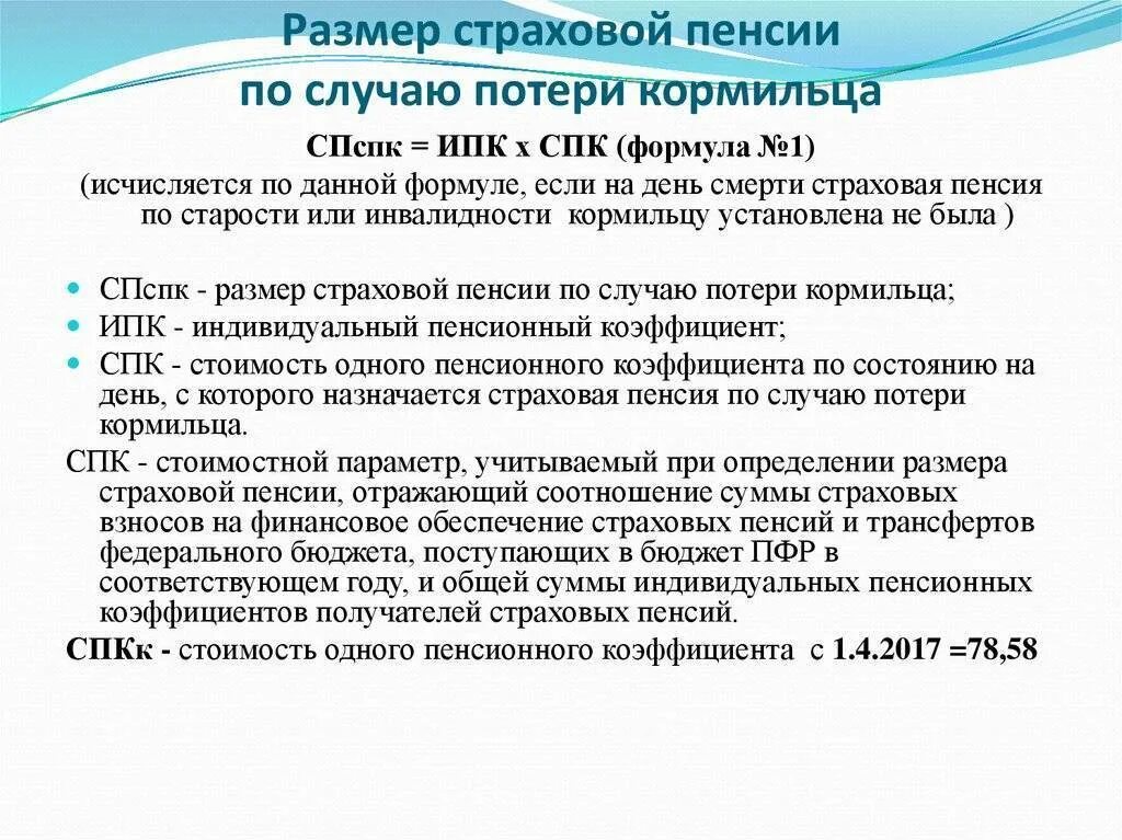 Как рассчитать пенсию по потере. Размер страховой пенсии по потере кормильца. Пенсия по потере кормильца несовершеннолетнему ребенку размер. Пенся по потере ко рмльца. Случай потери кормильца.