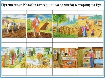 Картинки как выращивают хлеб