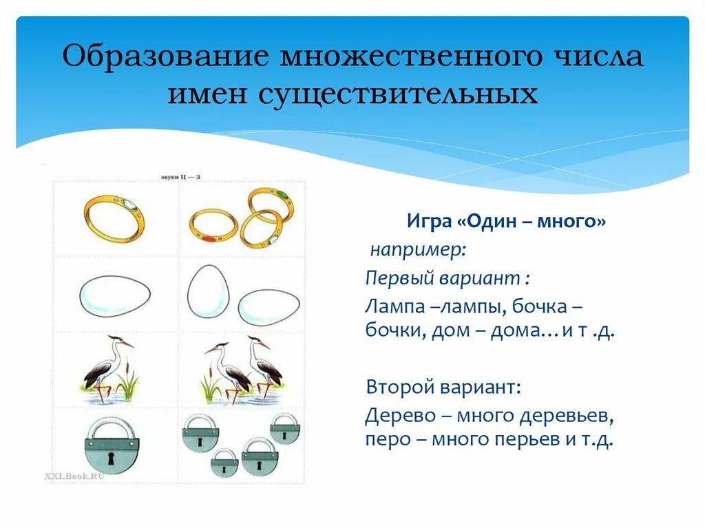 Образование множественного числа. Образование множественного числа для дошкольников. Образование формы множественного числа для дошкольников. Образование множественного числа в картинках. Очки во множественном числе