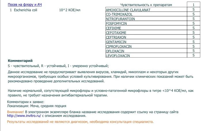 Бак посев мочи Escherichia coli 10 4. Escherichia coli в посеве мочи. Escherichia coli норма в моче. Кишечная палочка норма в мазке. Escherichia coli что это у мужчин