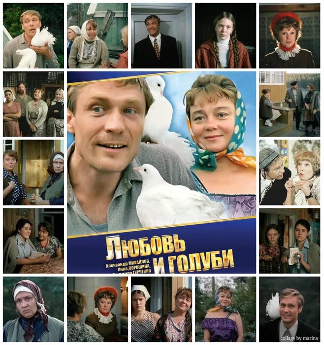 Найти любовь и голуби. Найти любовь и голуби