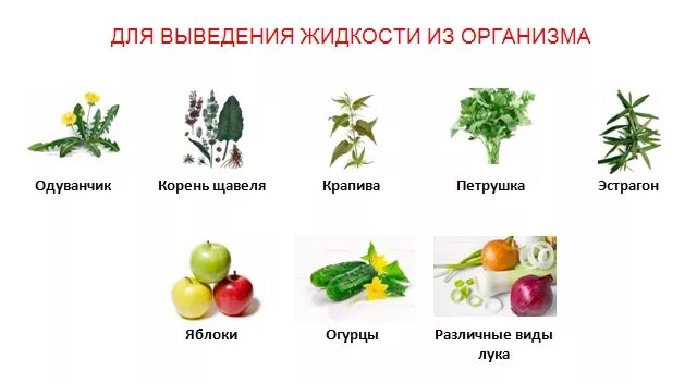 Способствует выведению. Способствует выведению. Вывод жидкости из организма. Способствует выведению. Мочегонные препараты при повышенной мочевой кислоте в крови.